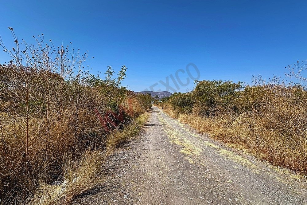 Land in Jonacatepec, Morelos, Mexico 5 - 17227432