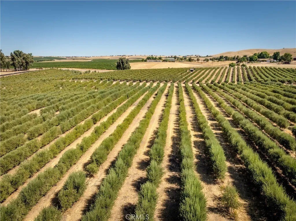 House in Paso Robles, California, United States 4 - 16521614