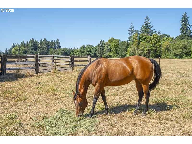 House in Corvallis, Oregon, United States 2 - 17225653