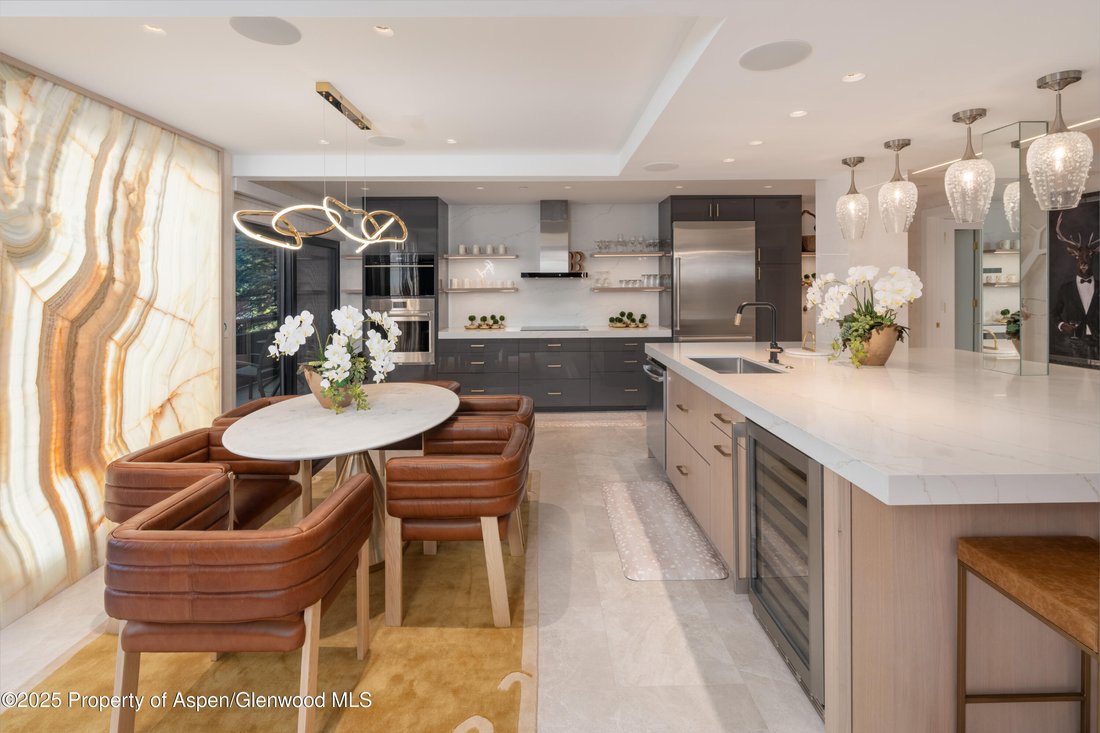 Condo in Aspen, Colorado, United States 1 - 17228729