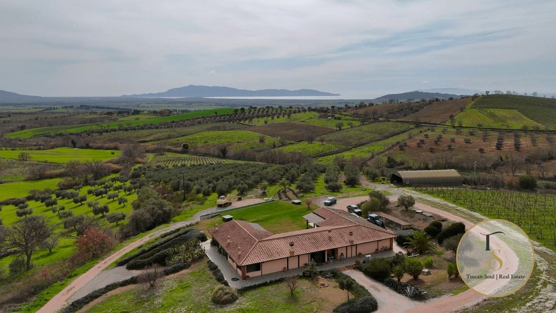 House in Fonteblanda, Orbetello, Tuscany 4 - 17220707