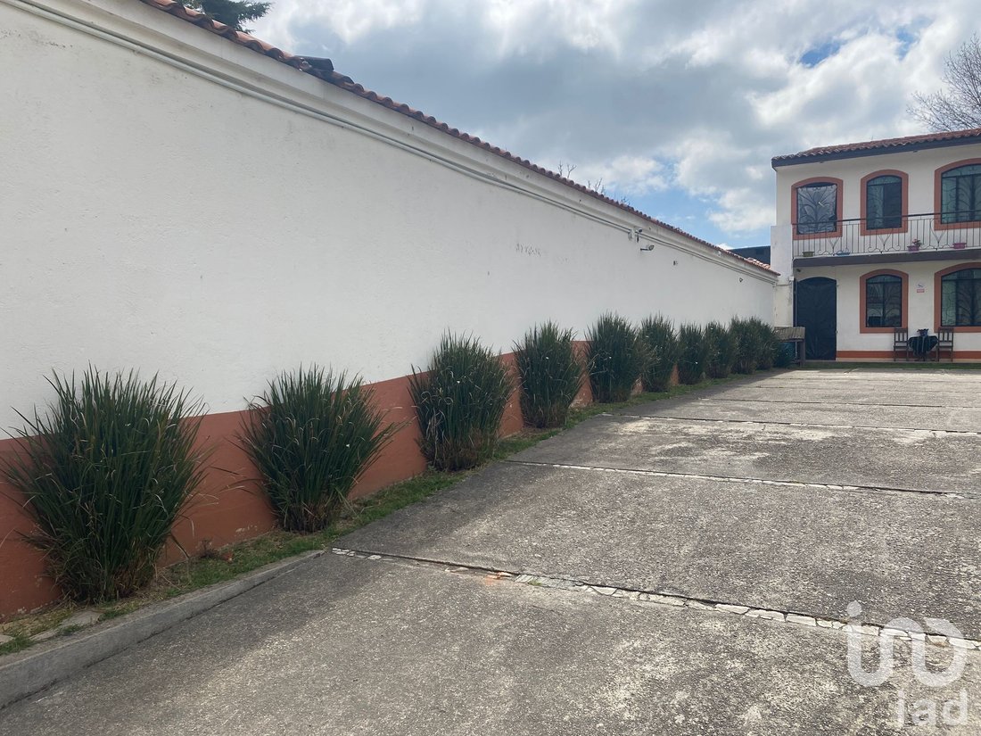 San Cristobal de las Casas, Chiapas, Mexico 2 - 17220842