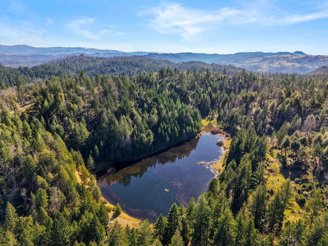 Shannon Place, California, United States 2 - 17228942