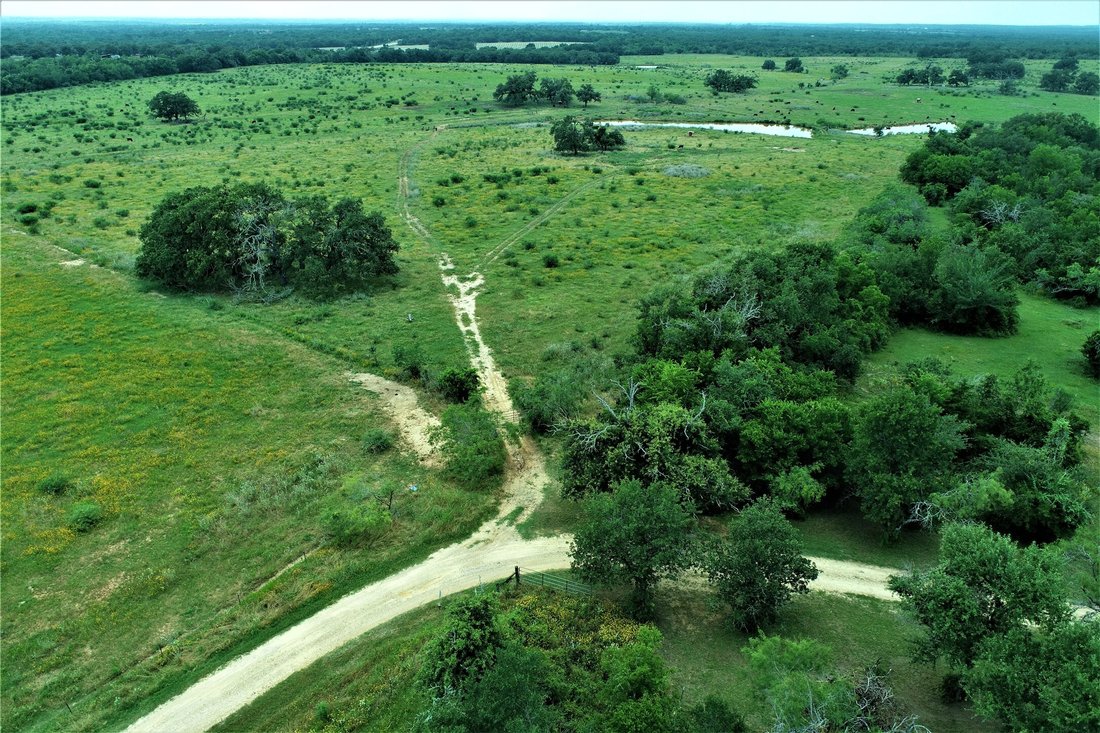 Farm Ranch in Milano, Texas, United States 4 - 14631020