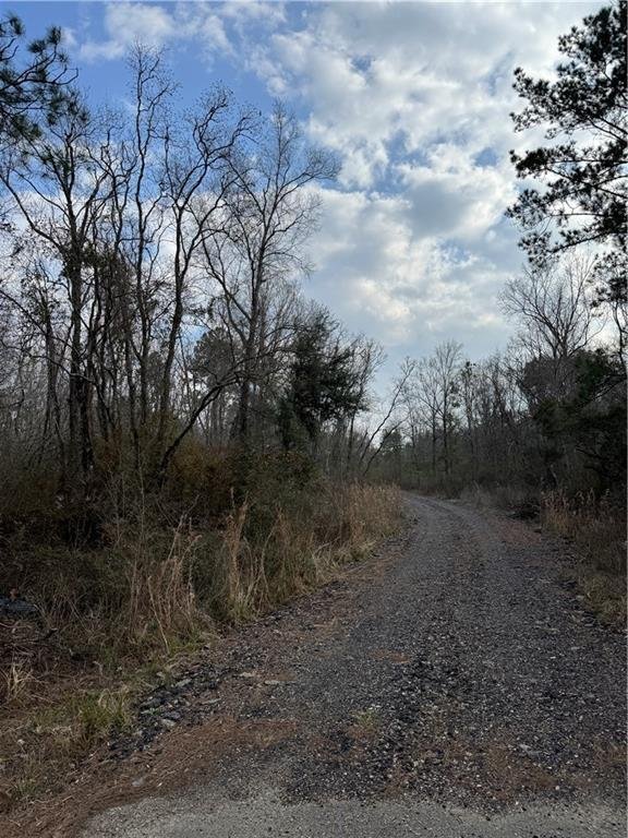 Land in Hammond, Louisiana, United States 5 - 17225771