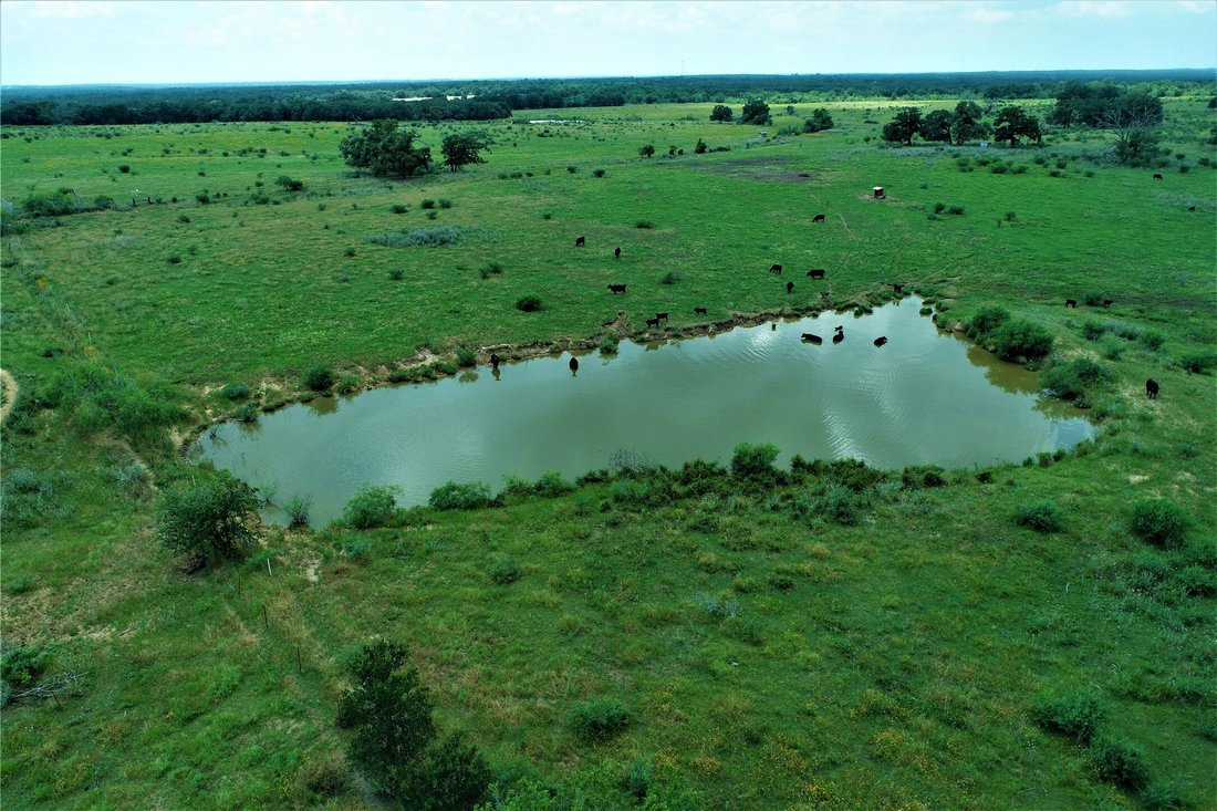 Farm Ranch in Milano, Texas, United States 3 - 14631020