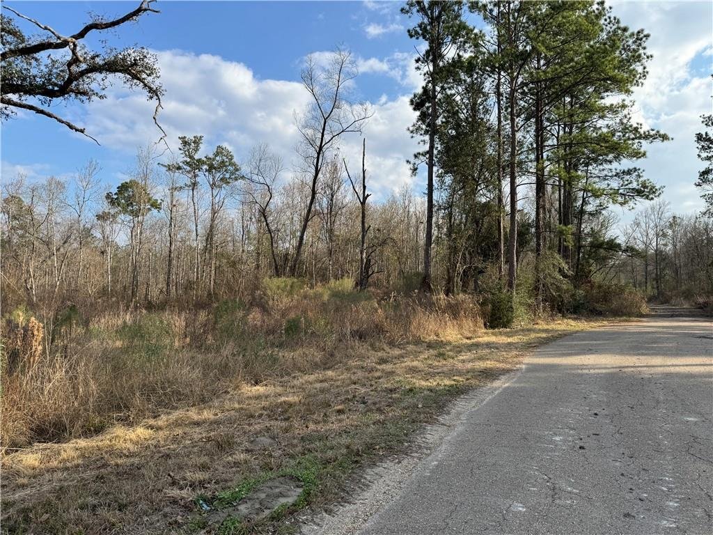 Land in Hammond, Louisiana, United States 3 - 17225771