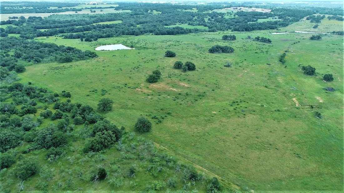 Farm Ranch in Milano, Texas, United States 5 - 14631020