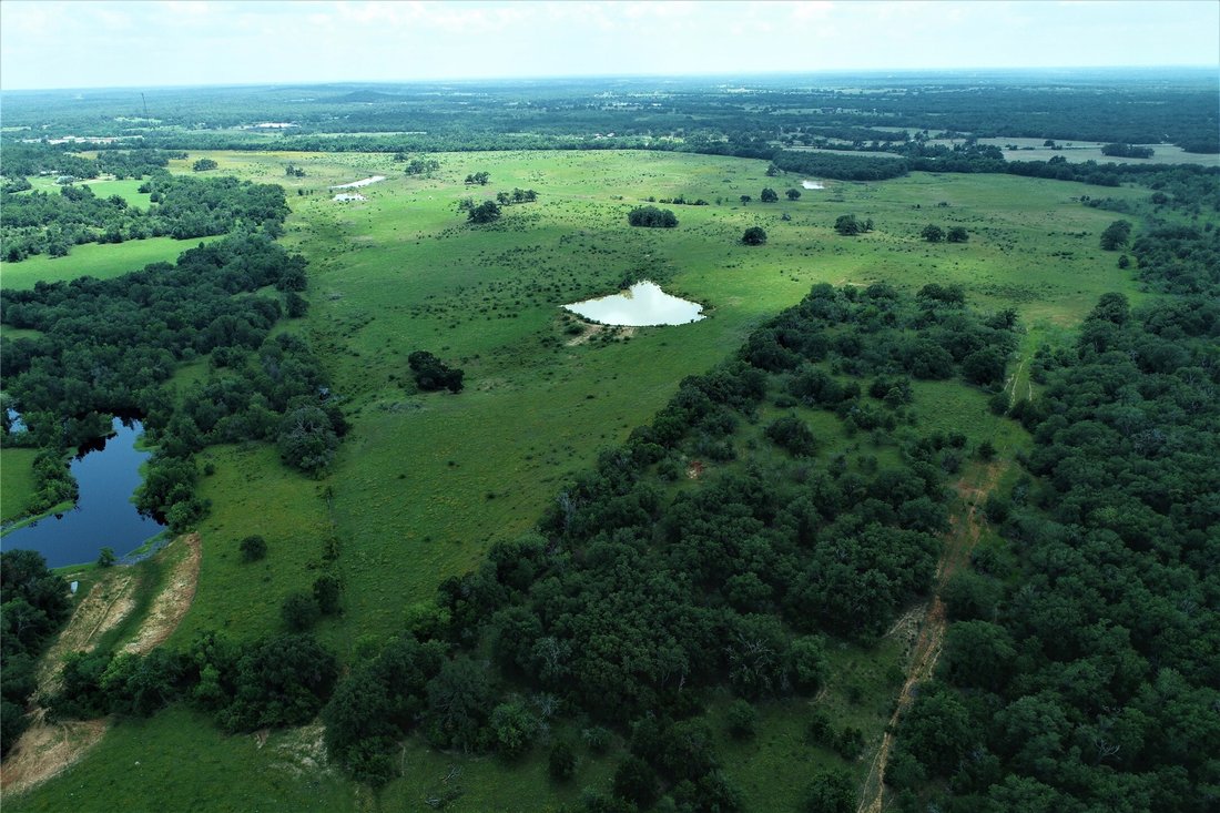 Farm Ranch in Milano, Texas, United States 2 - 14631020