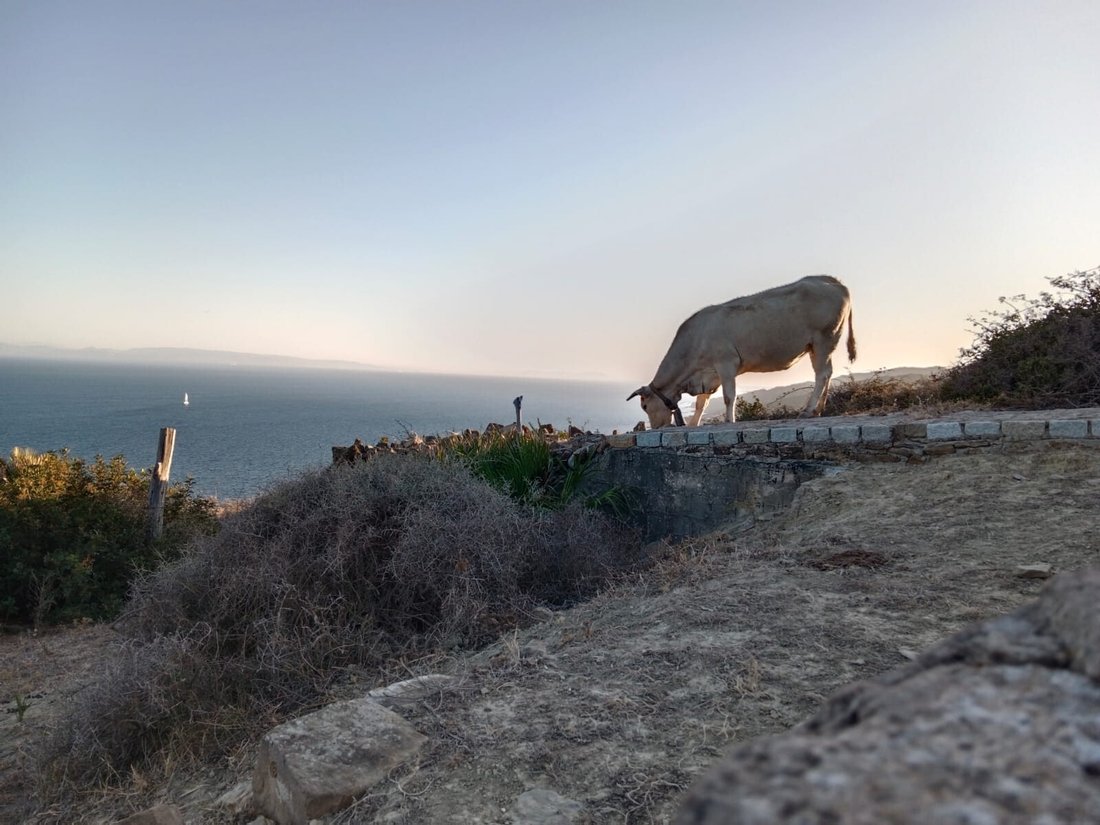 Land in Tarifa, Andalusia, Spain 2 - 17218805