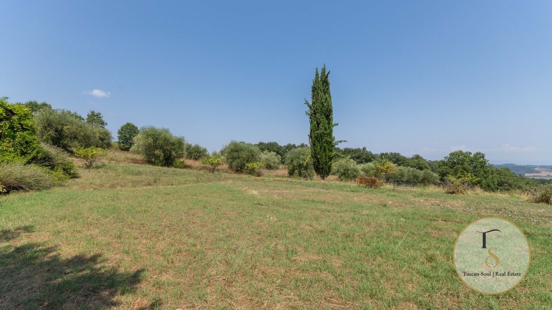 Land in Pienza, Tuscany, Italy 1 - 16708106