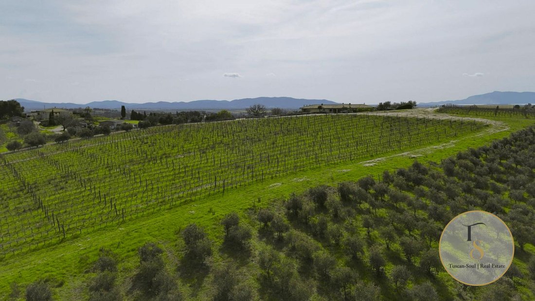 House in Fonteblanda, Orbetello, Tuscany 2 - 17220707