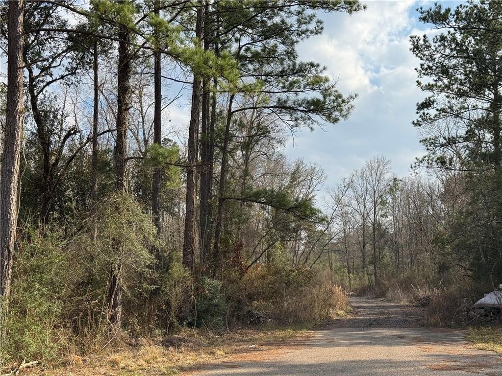 Land in Hammond, Louisiana, United States 2 - 17225771