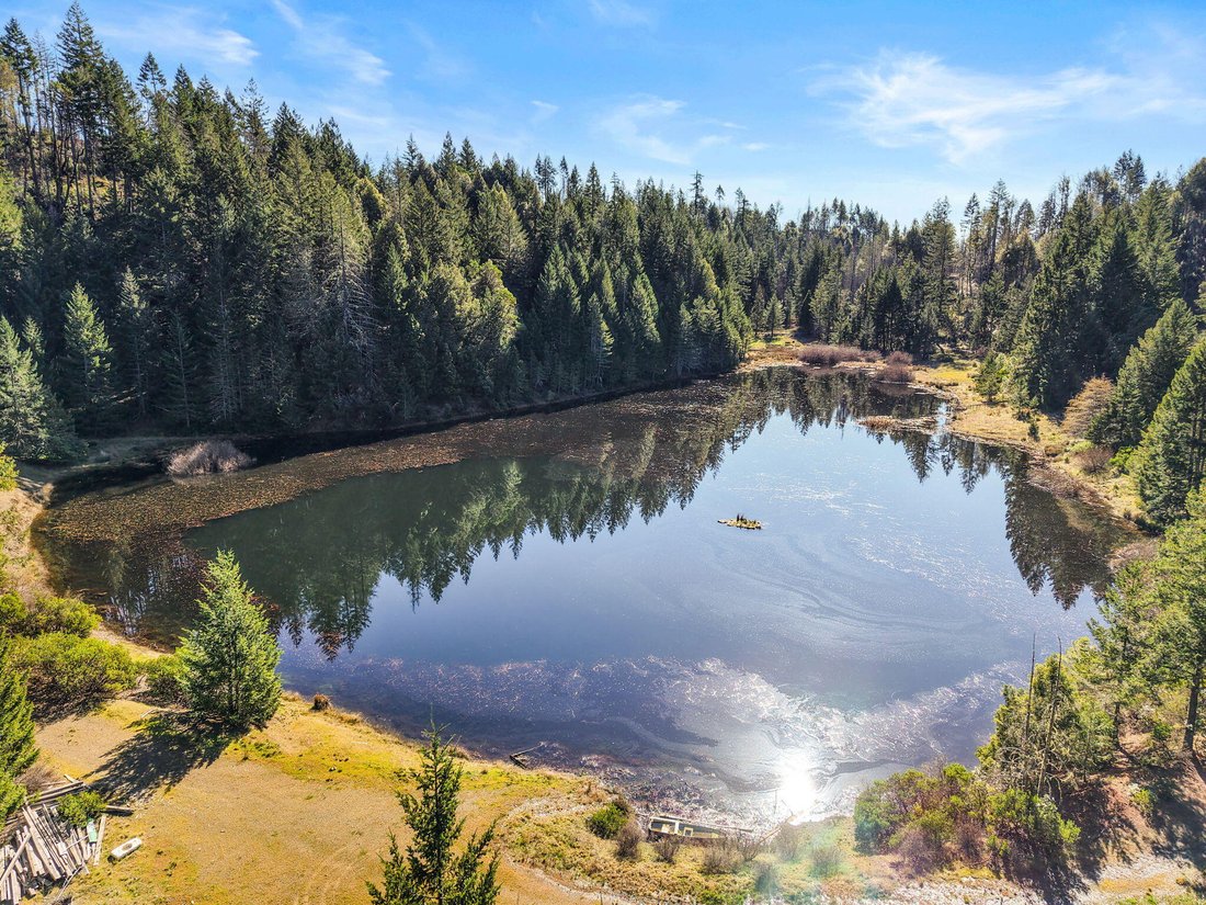 Shannon Place, California, United States 1 - 17228942