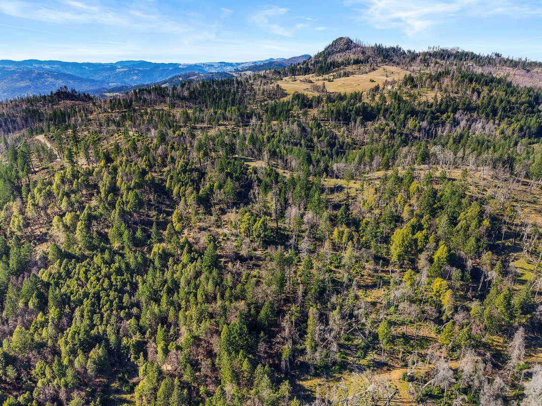 Land in Shannon Place, California, United States 5 - 17228946