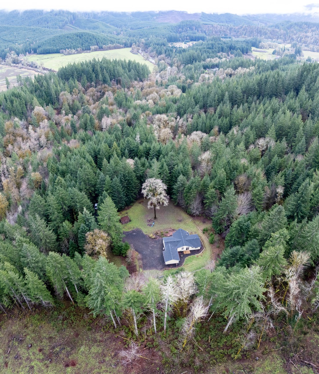 House in Alsea, Oregon, United States 2 - 17219364