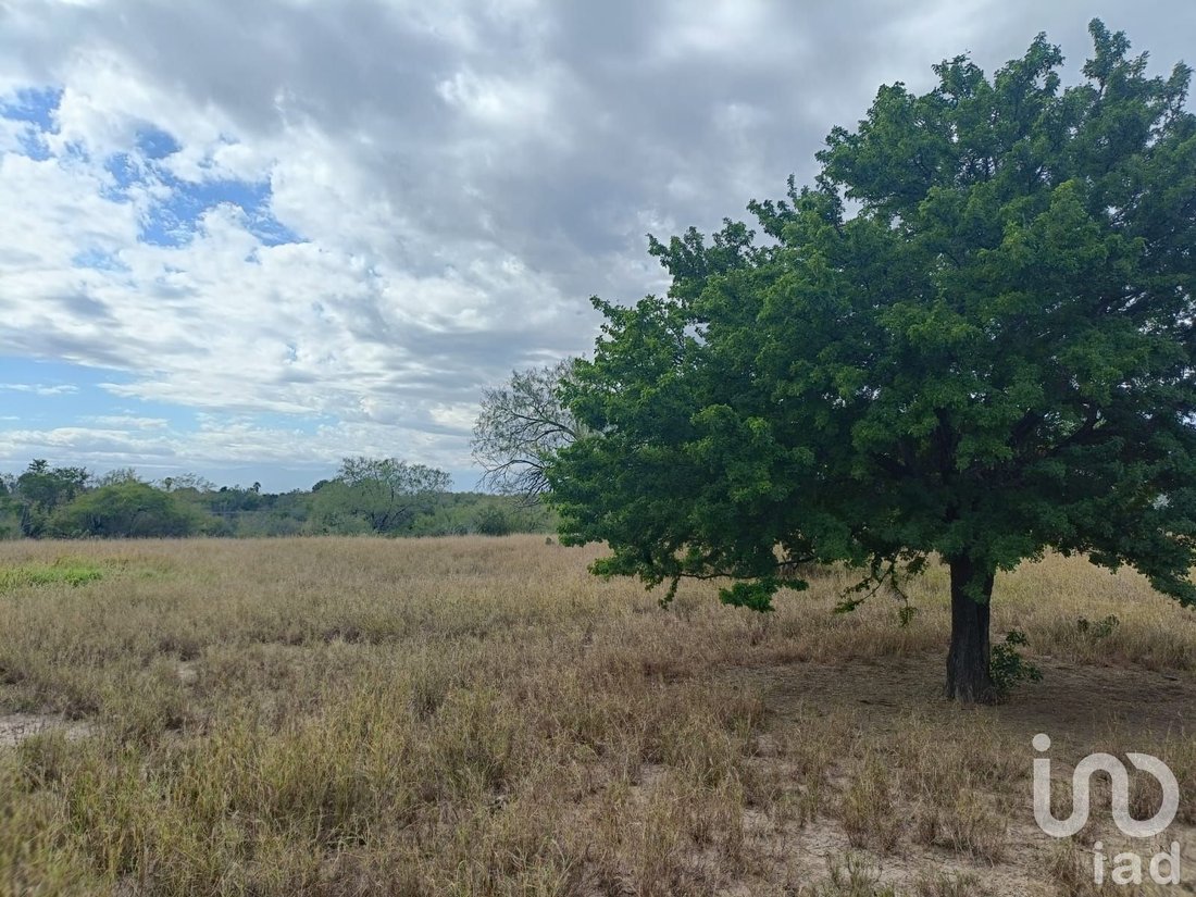 Land in La Providencia, Nuevo Leon, Mexico 1 - 16910441
