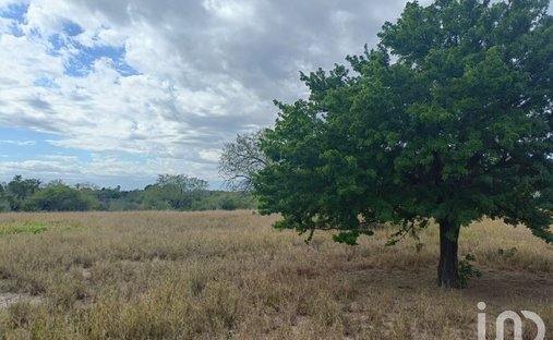 Land in La Providencia, Nuevo Leon, Mexico 1