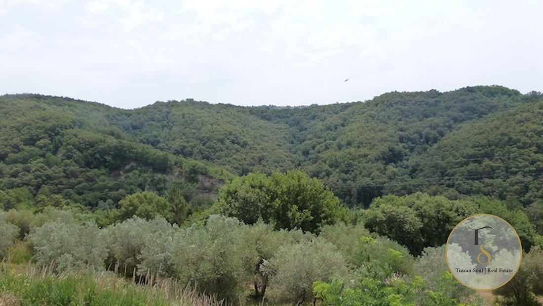 Country House in Asciano, Tuscany, Italy 3 - 17220728