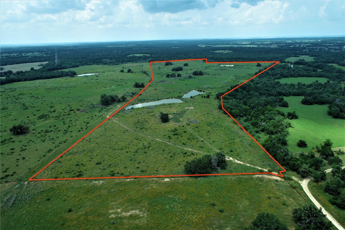 Farm Ranch in Milano, Texas, United States 1 - 14631020