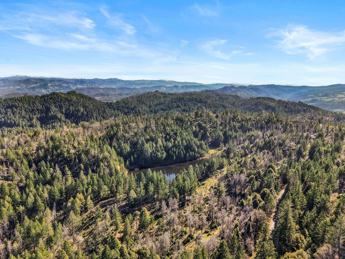 Shannon Place, California, United States 4 - 17228942