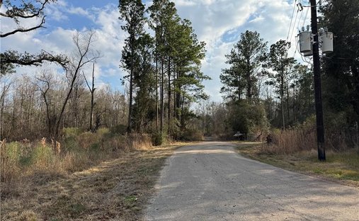Terreno a Hammond, Louisiana, Stati Uniti 1