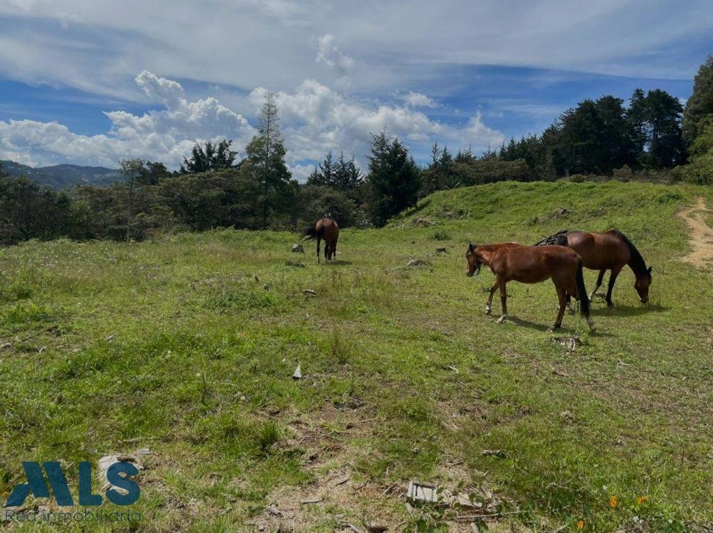 Land in La Fe, Antioquia, Colombia 1 - 17220424