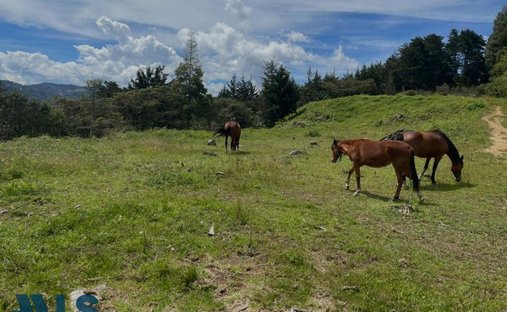 Terreno a La Fe, Dipartimento di Antioquia, Colombia 1