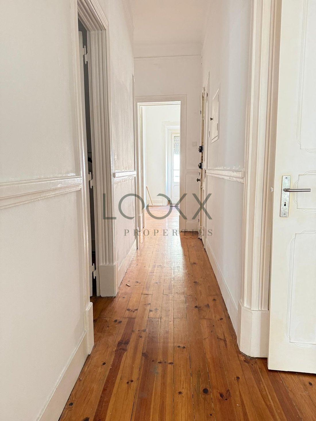 Apartment in Areeiro, Lisbon, Portugal 4 - 17223637
