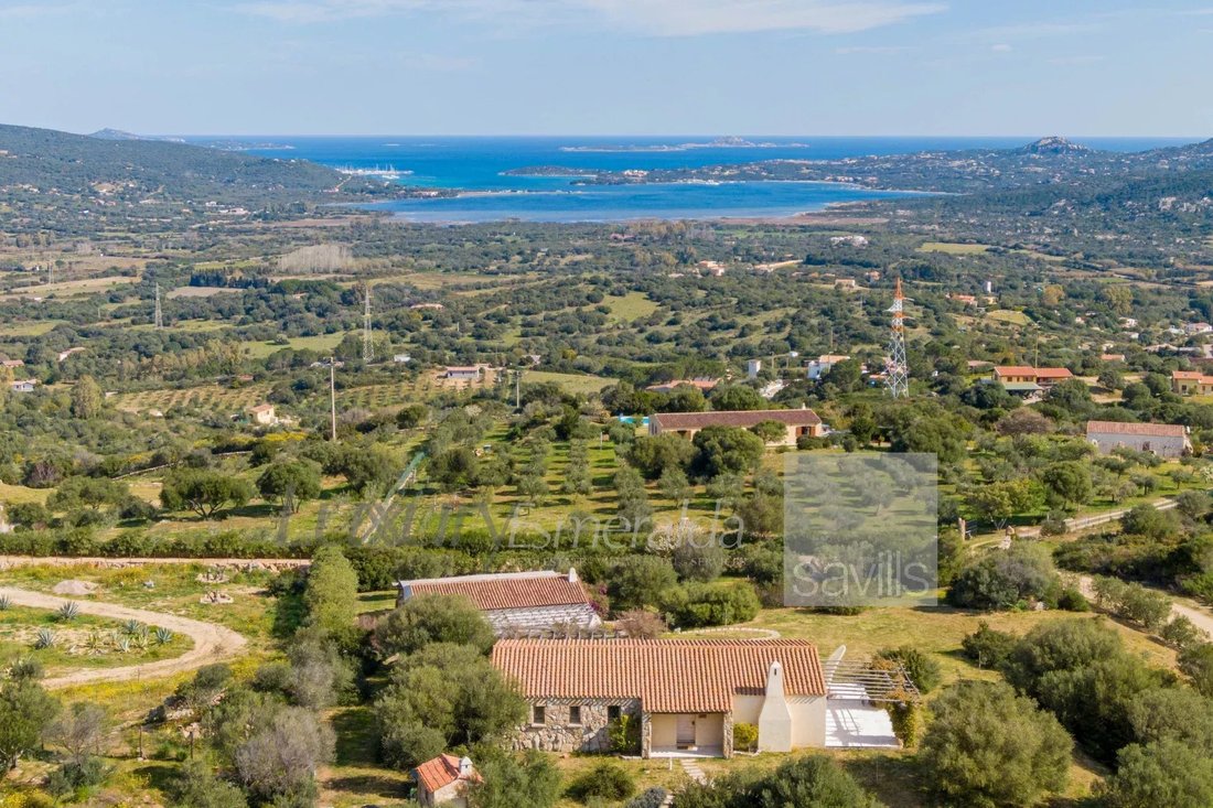 Estate in Porto Rotondo, Olbia, Sardinia 4 - 17226933