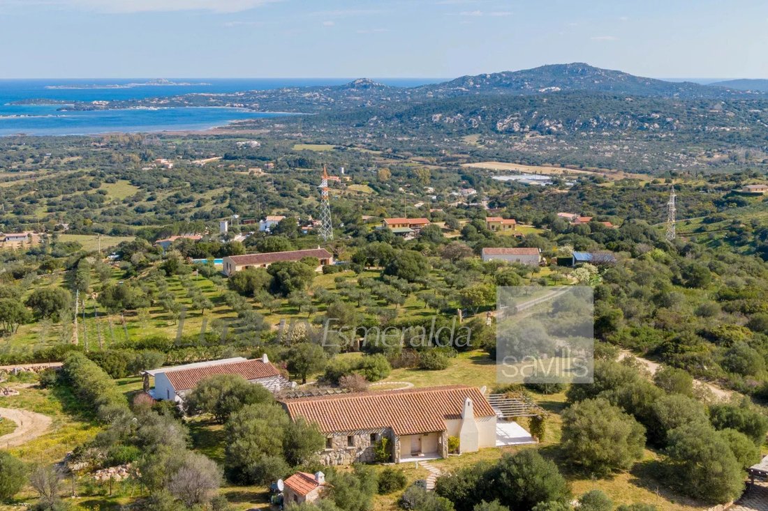 Estate in Porto Rotondo, Olbia, Sardinia 5 - 17226933