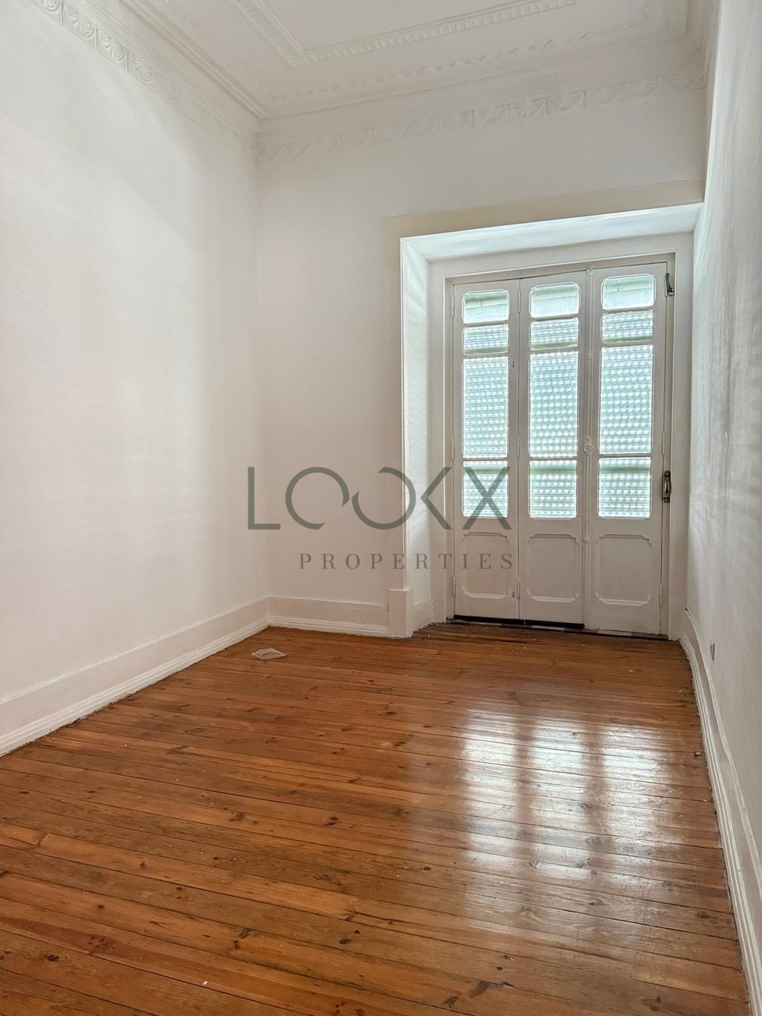 Apartment in Areeiro, Lisbon, Portugal 5 - 17223637