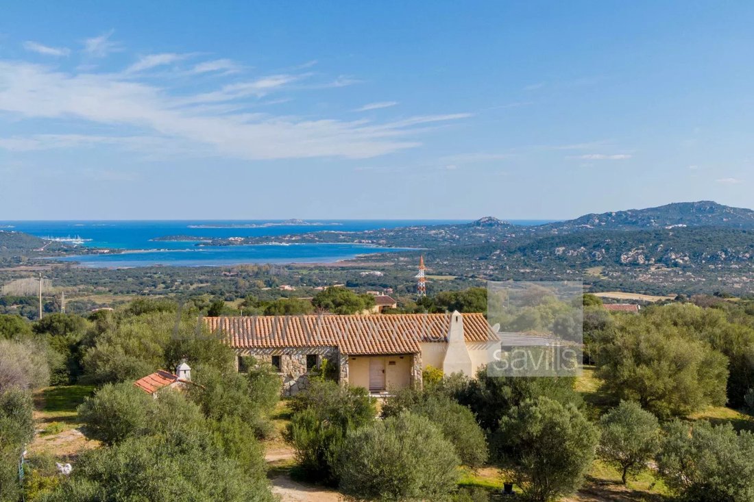Estate in Porto Rotondo, Olbia, Sardinia 1 - 17226933