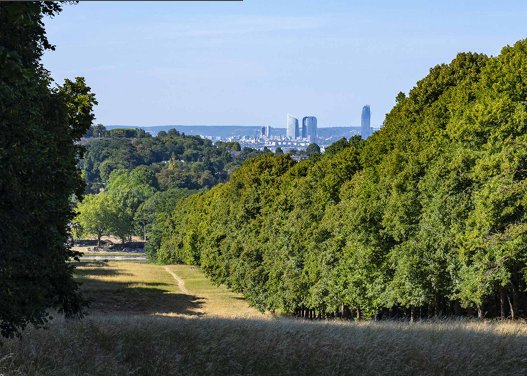 Land in Jardin Parisien, Clamart, France 1 - 17225679