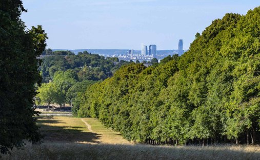 Land in Jardin Parisien, Clamart, France 1