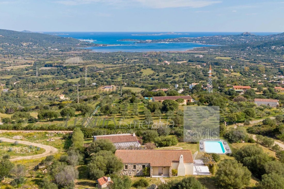 Estate in Porto Rotondo, Olbia, Sardinia 3 - 17226933