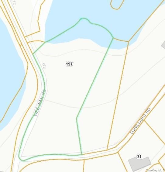 Land in Tuxedo Park, New York, United States 3 - 17219516