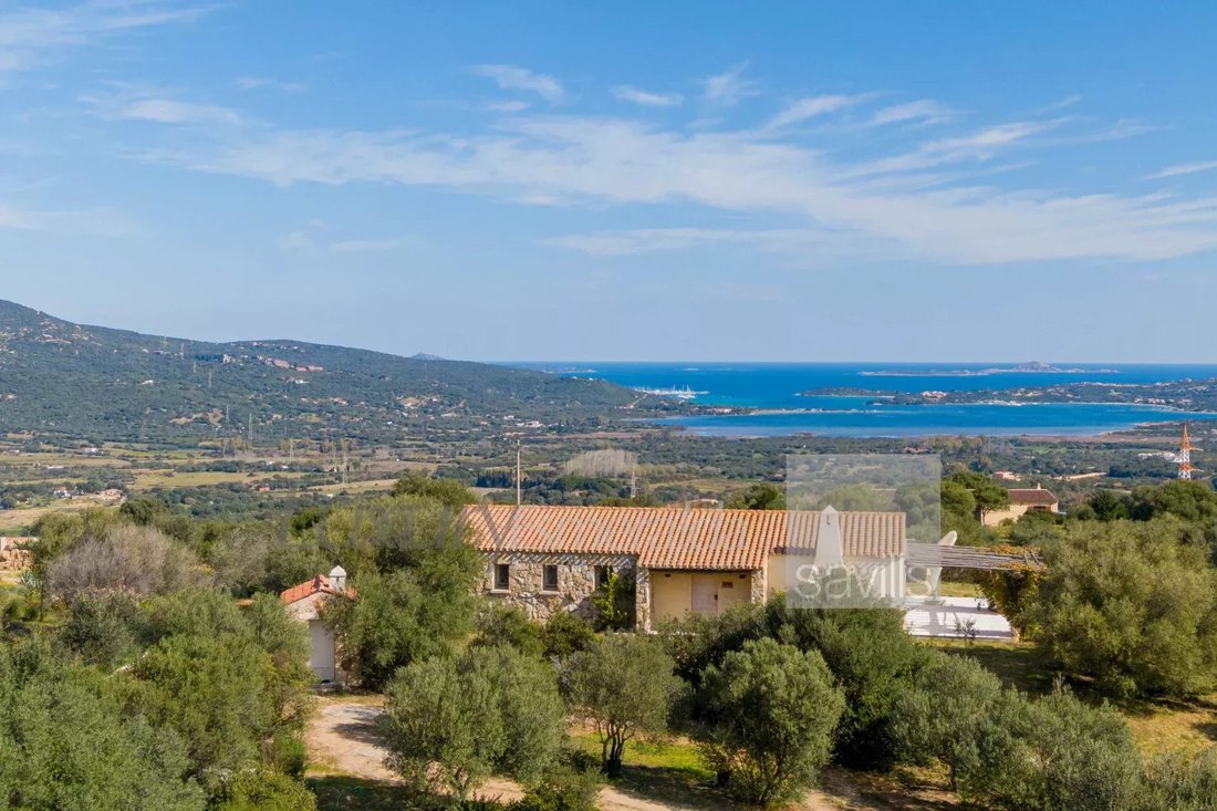Estate in Porto Rotondo, Olbia, Sardinia 2 - 17226933
