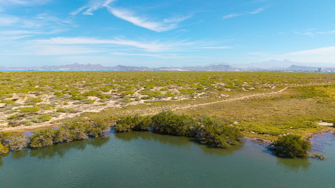 Land in La Paz, Baja California Sur, Mexico 1 - 17233635