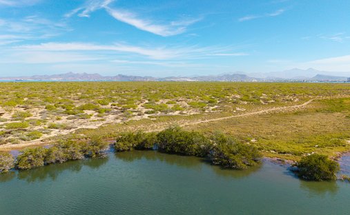 Terrain à La Paz, Basse-Californie du Sud, Mexique 1