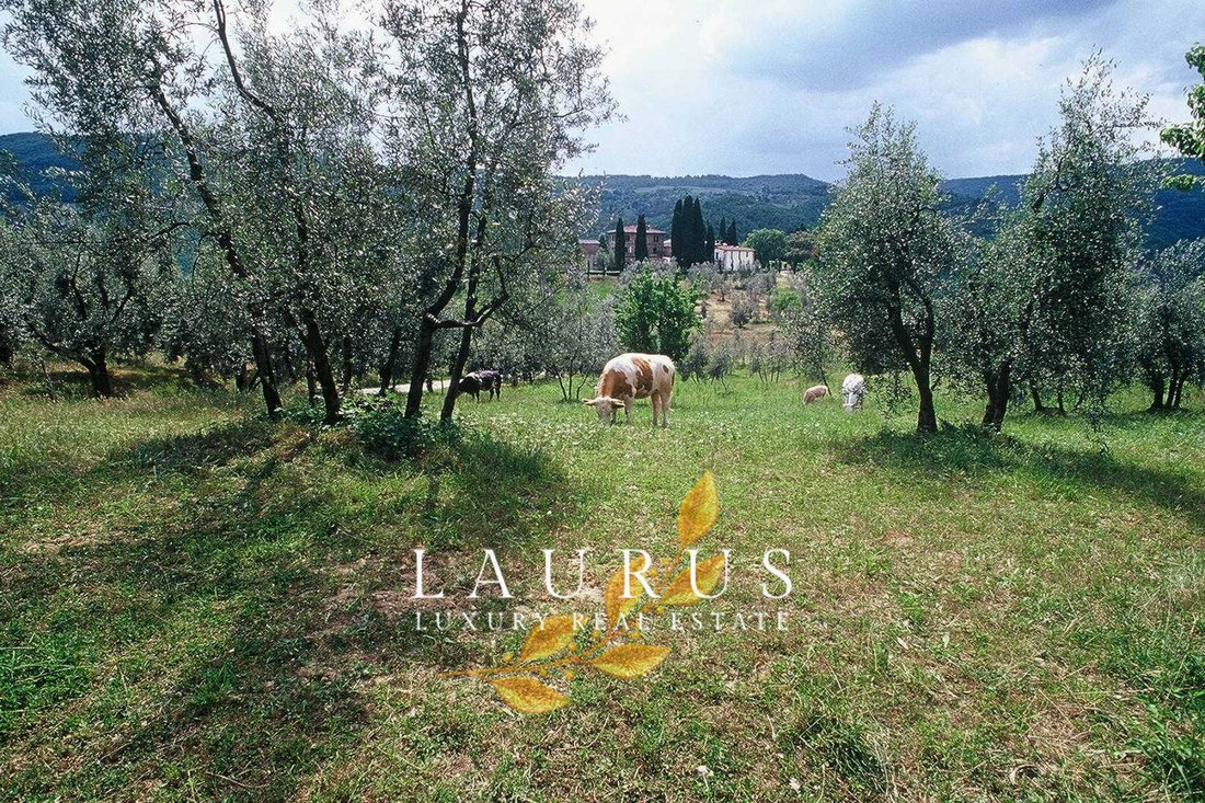 Villa in Pontassieve, Tuscany, Italy 4 - 17221414