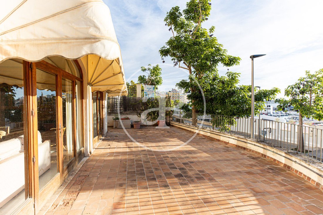 Villa in Palma, Balearic Islands, Spain 2 - 17224792
