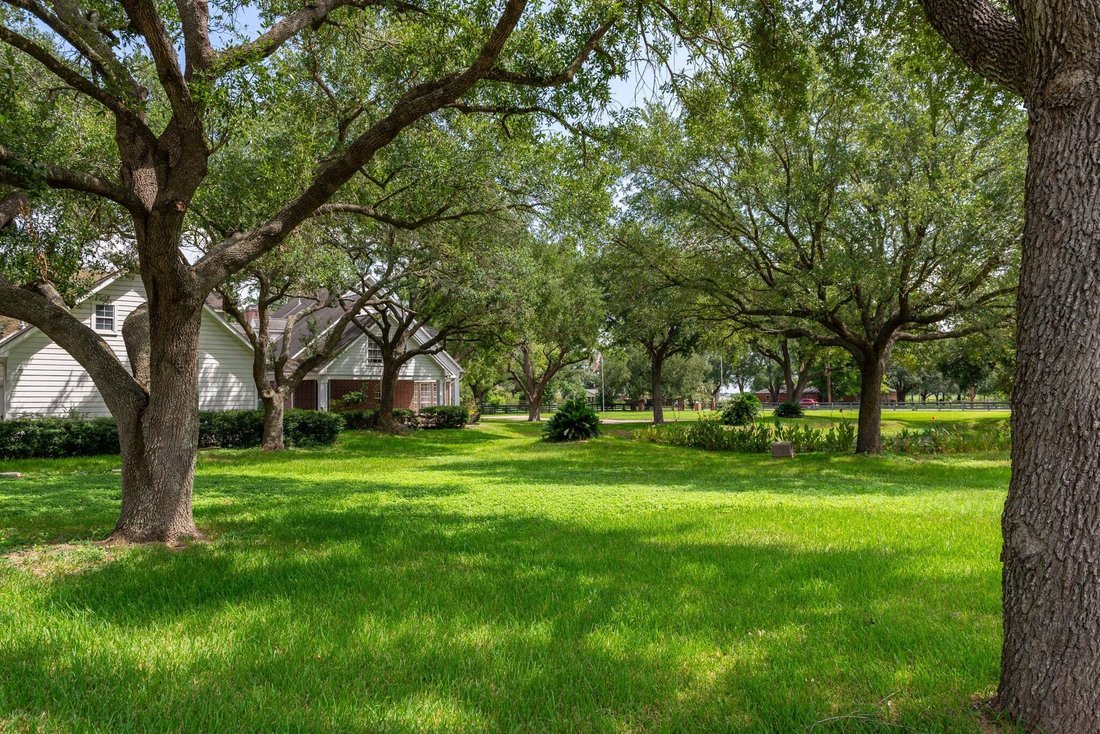 House in Katy, Texas, United States 5 - 17226753