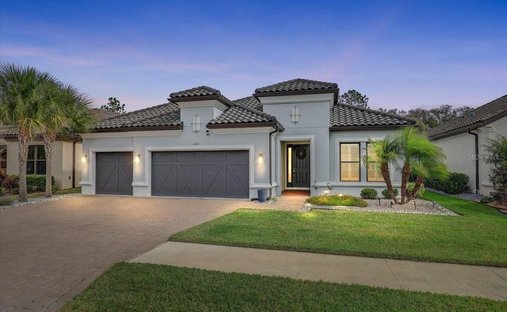 House in Tampa, Florida, United States 1