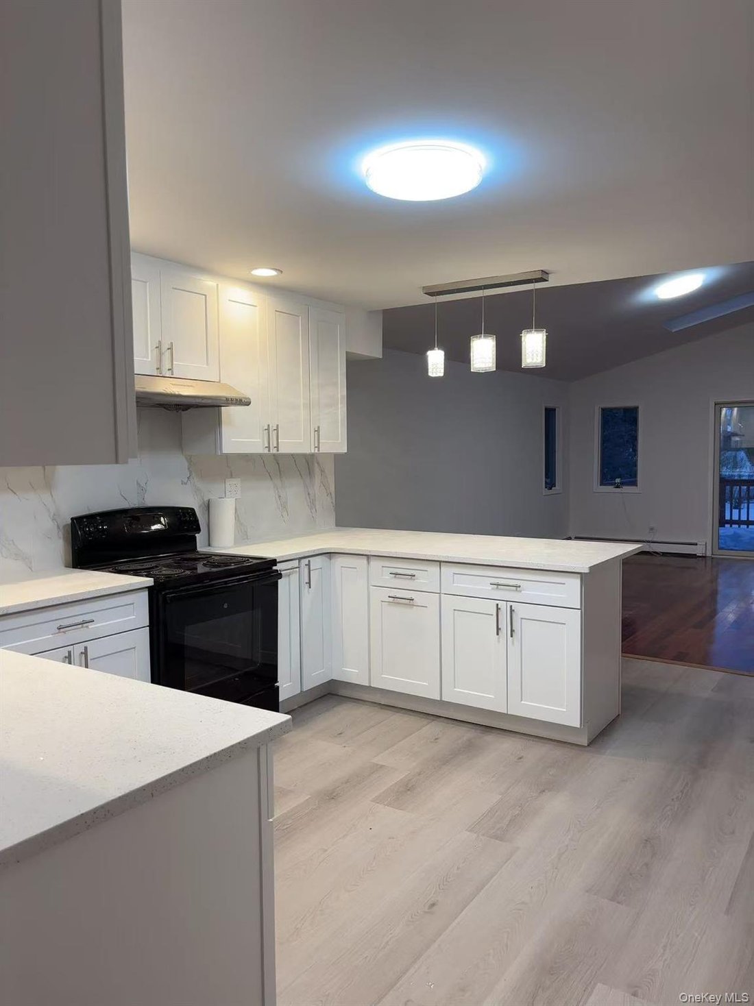 House in Bellmore, New York, United States 4 - 17224667