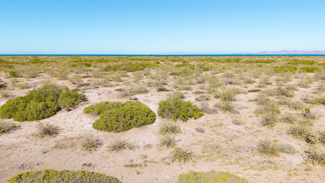 Land in La Paz, Baja California Sur, Mexico 1 - 17233619