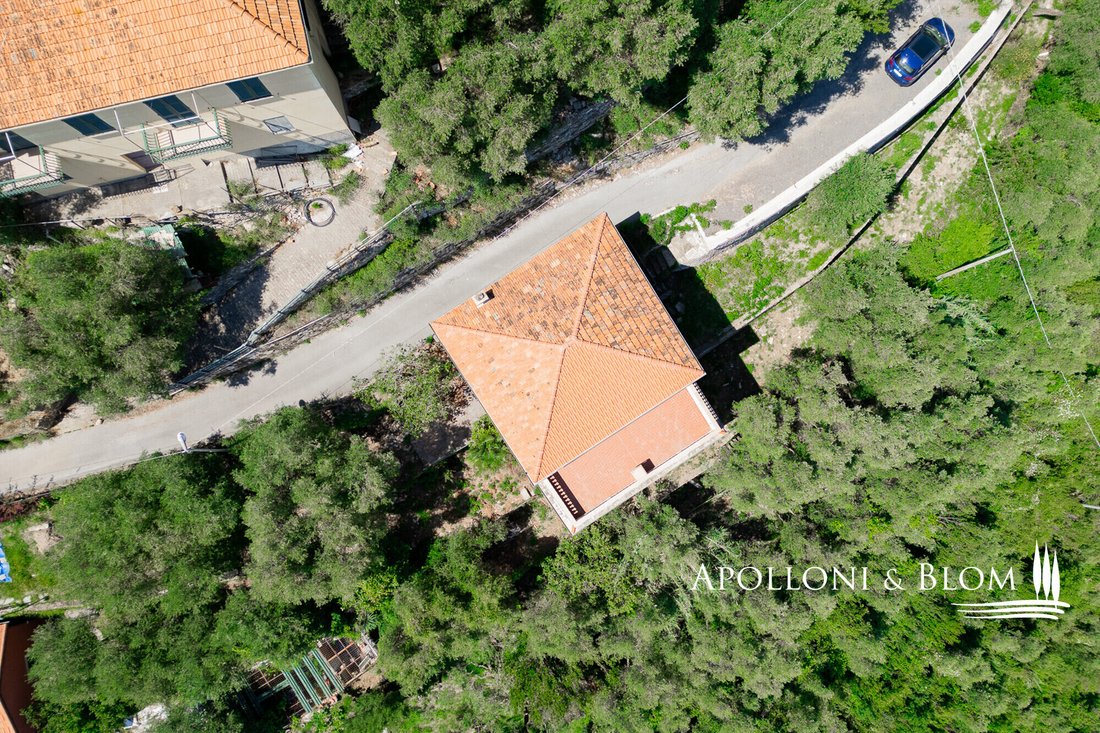 Villa in Zoagli, Liguria, Italy 5 - 17225096