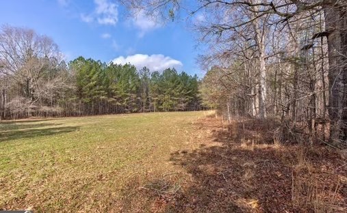 Farm Ranch in Madison, Georgia, United States 1