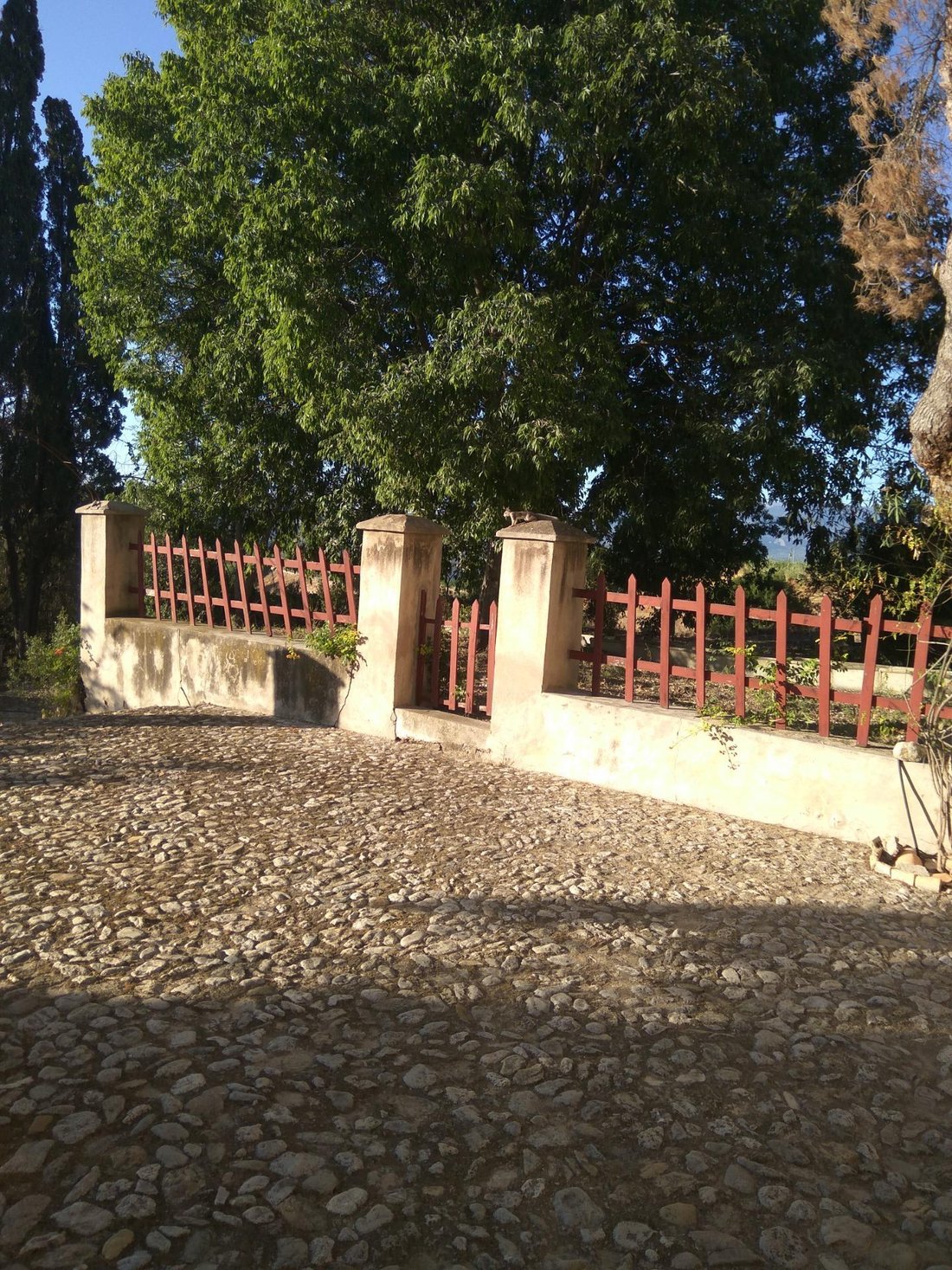 Villa in Mula, Región de Murcia, Spain 3 - 17228761