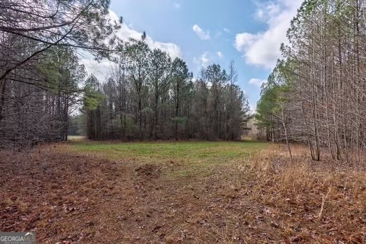 Rancho en Madison, Georgia, Estados Unidos 5 - 17225512